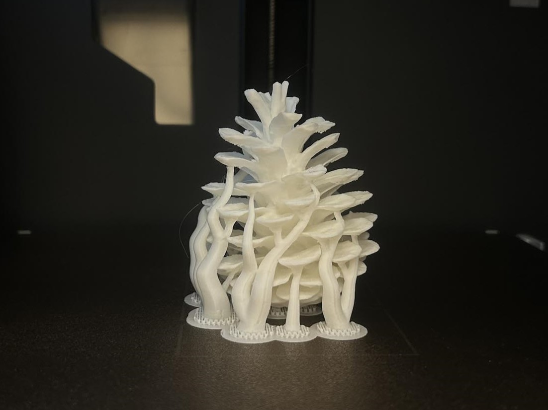 pine-cone print